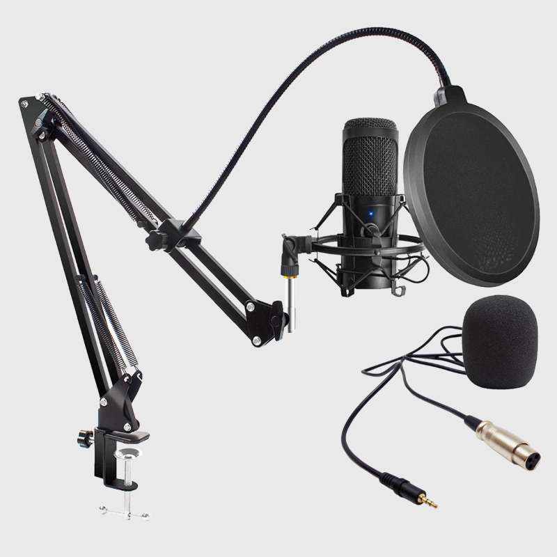 e-shop - Profesionalni mikrofon + dodaci WEB1