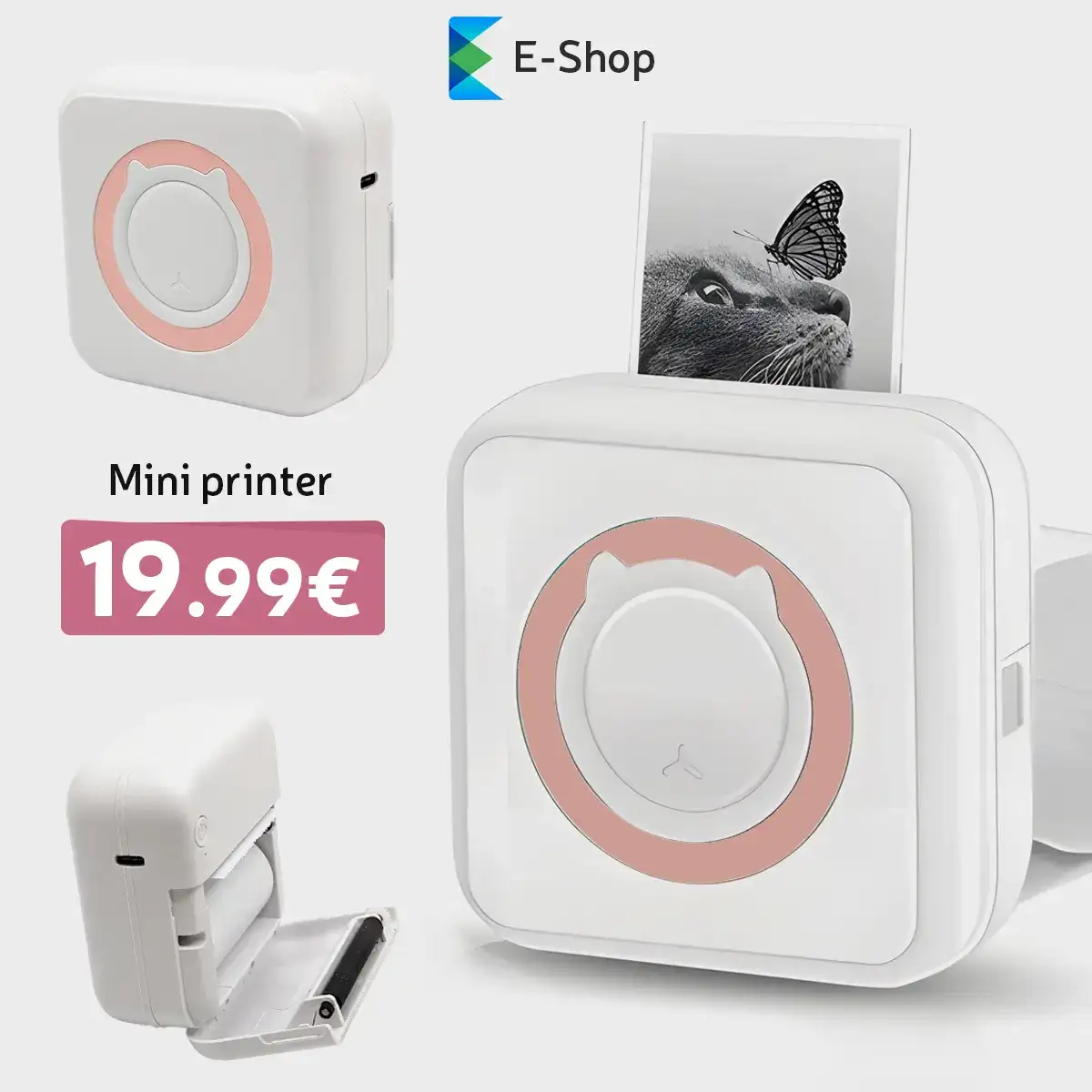 Mini Printer