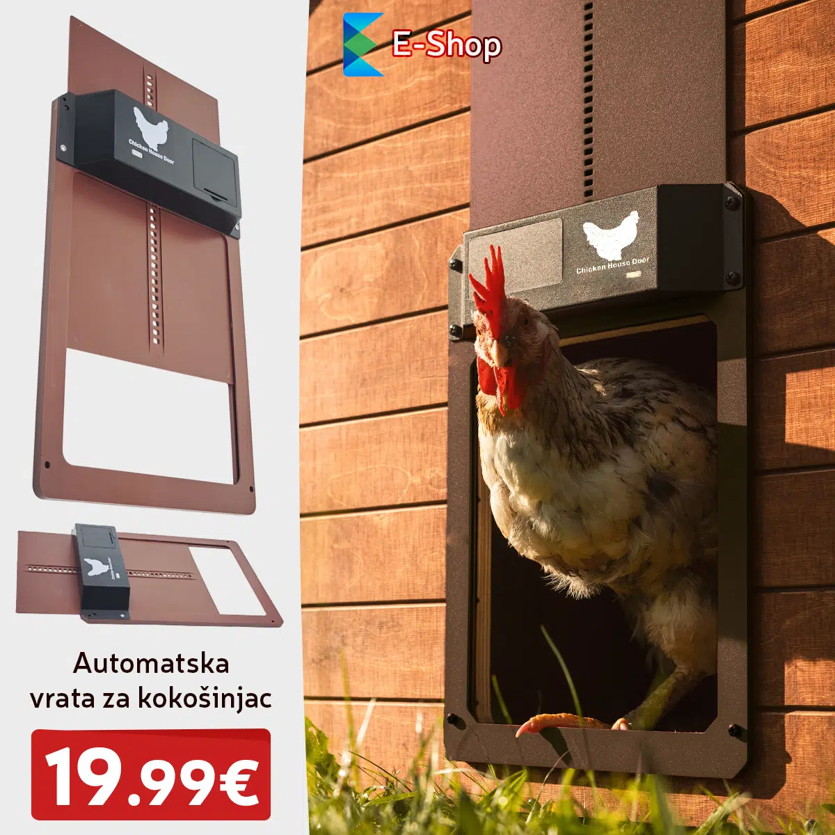 Automatska Vrata Za Kokošinjac
